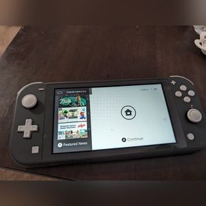Nintendo switch lite